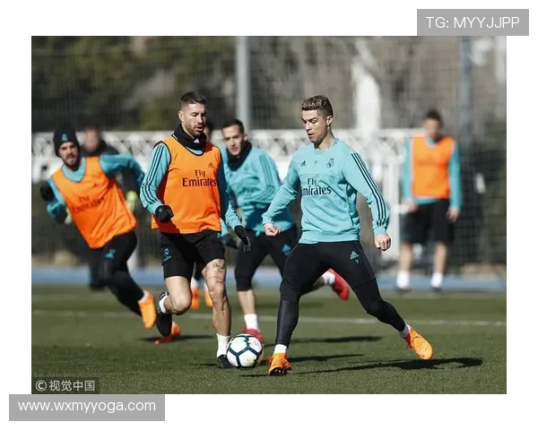 阿拉维斯足球俱乐部发展历程与未来展望：西甲的崛起与挑战