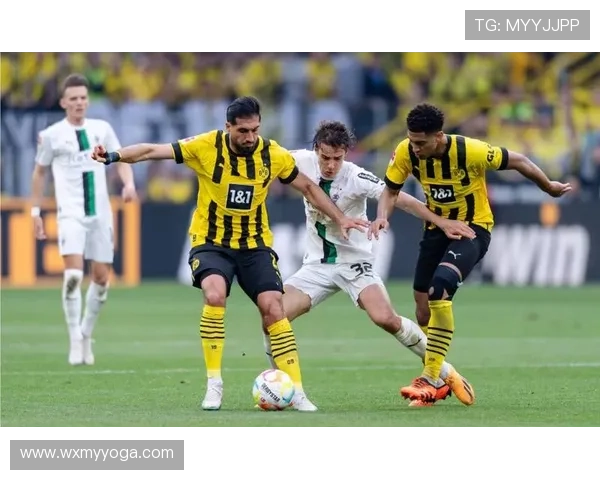 德甲联赛整体水平分析与各球队表现比较