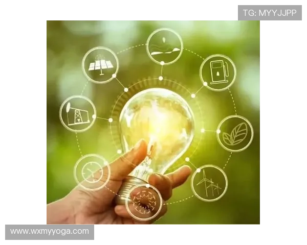 《罗马俱乐部与全球可持续发展挑战：从资源限制到未来政策的探索》